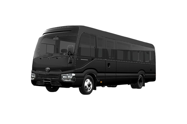 Luxury Mini Bus